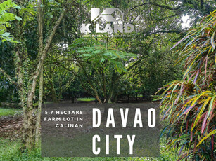 Calinan, Davao, Lot For Sale