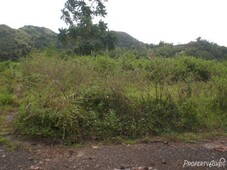 140 sqm residential land lot sale in roxas city