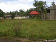 147 sqm residential land lot sale in roxas city
