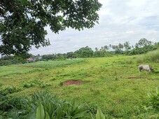 1004 sqm Private Residential Farm Lot in Manggas, Alfonso, Cavite- All In Na!!!