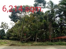 Agricultural Lots For Sale 6,214 sqm in Purok 11, Angeles, Brgy Catigan, Toril