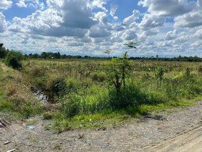 Lot For Sale In New Camiling, Carmen