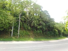 Rush Land Property at Calauag Quezon Good Investment