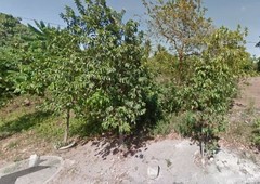 Vacant Lot along the road for sale in Pagsanjan Laguna