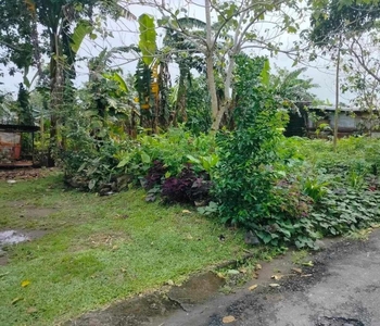 Lot For Sale 120 sqm Residential Lot in Lag-on Daet, Camarines Norte
