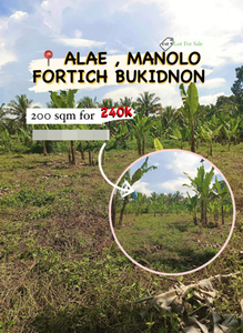 Lot For Sale In Alae, Manolo Fortich