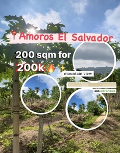 Lot For Sale In Amoros, El Salvador