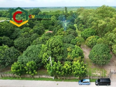 Lot For Sale In Bacolor, Pampanga