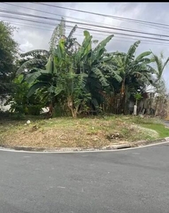 Lot For Sale In Concepcion Dos, Marikina