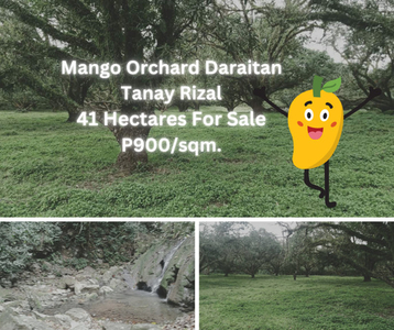 Lot For Sale In Daraitan, Tanay