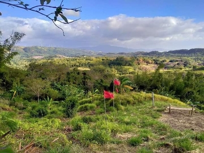 Lot For Sale In Plaza Aldea, Tanay