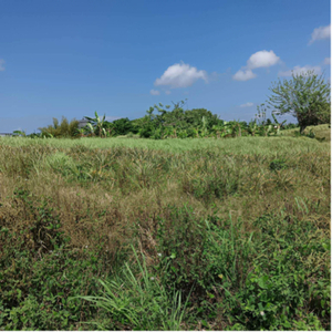 Lot For Sale In Toledo, Silang