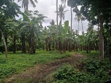 4 Has Farm Lot San Juan Batangas (NEGOTIABLE)
