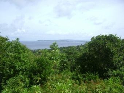 7.3HECTARE LAND IN AKLAN,PHILS For Sale Philippines