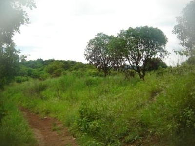 A parcel of land (rawland) For Sale Philippines