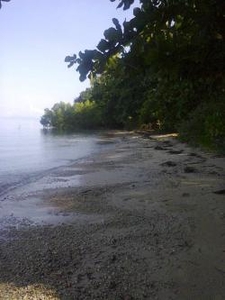 beach-land property For Sale Philippines