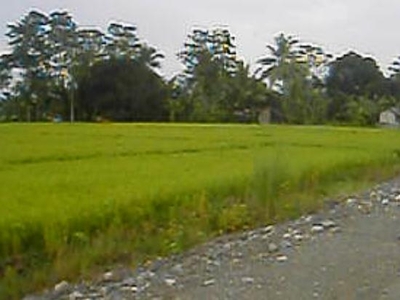 �� Land/Lot/ Farm For SALE! �� For Sale Philippines