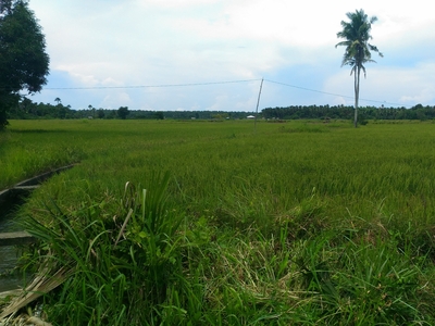 Plot of land Aborlan For Sale Philippines