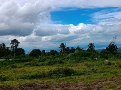 Plot of land Samal For Sale Philippines