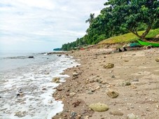 For Sale Beach Lot in Samal Island with Flat Terrain