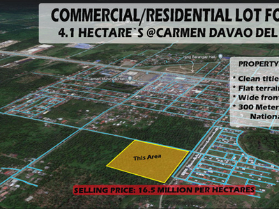 Lot For Sale In A. O. Floirendo, Panabo