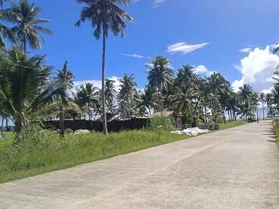 Lot For Sale In Libertad, General Luna