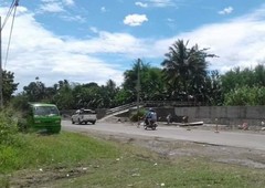 Land for sale in New Camiling, Davao del Norte