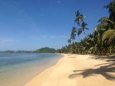 Titled beach front property on sale - New Busuanga