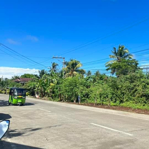 Lot For Sale In Bil-isan, Panglao