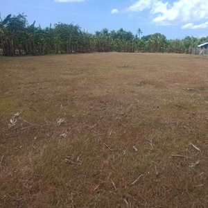 Lot For Sale In Bongol San Vicente, Guimbal