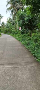 Lot For Sale In Dinahican, Infanta