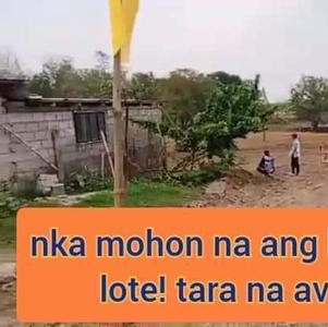 Lot For Sale In Quezon, Gerona