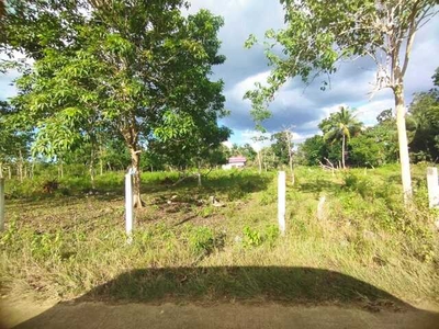 Lot For Sale In Tinago, Dauis