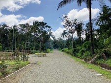 Farm for sale in Cavite -cool weather
