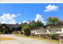 300 sqm Lot for sale with clean Title in Canyon Woods