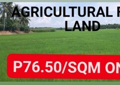 Farm Land in Iloilo for 76.50 pesos only per sqm