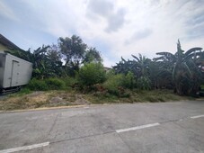 BF HOMES LOT FOR SALE VERY NEAR ALABANG ZAPOTE ROAD