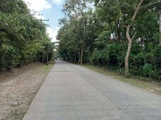 Land for sale in Banaba Lejos, Cavite