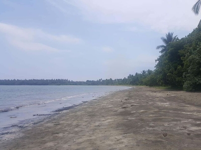 Plot of land Aborlan For Sale Philippines