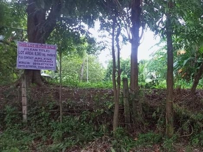 Agricultural Lot for sale in Talisay