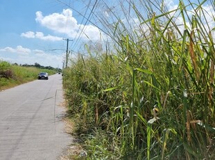 Lot For Sale In Dela Paz Norte, San Fernando