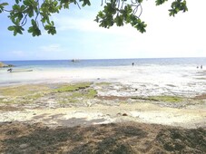 Beach Lot for Sale in Dauis, Panglao Island (11.3 Hectares)