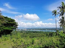 Lot for Sale in Dauis, Panglao Island, Overlooking Tagbilaran Bay