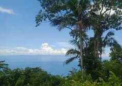LOT FOR SALE IN SIQUIJOR! CLEAN TITLE! Overlooking view!