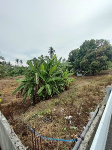 Hermosa Bright Farm Commercial Lots Indang Cavite