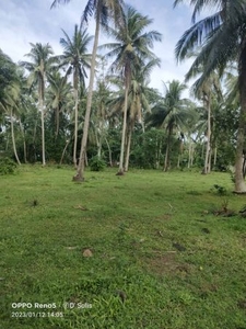 For Sale: 3000 sqm Beachfront Property with Improvements in Pitogo, Quezon