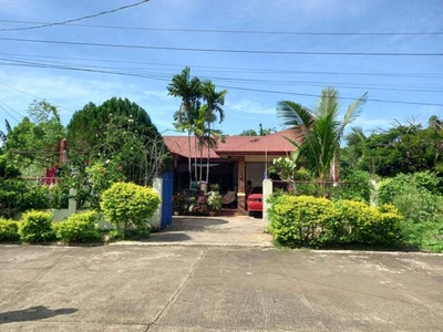 House For Sale In Bagong Pag-asa, Puerto Princesa