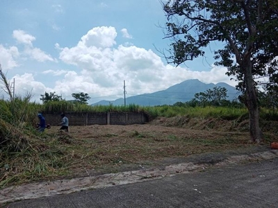 Lot for Sale at Calamba with Mt. Makiling View