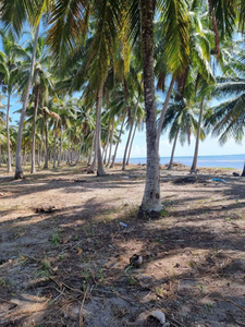 Lot For Sale In Banaybanay, Davao Oriental