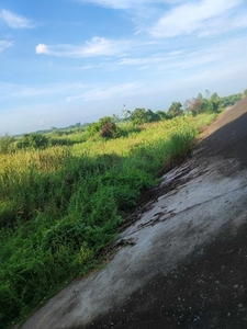 Lot For Sale In Concepcion, Bacolor